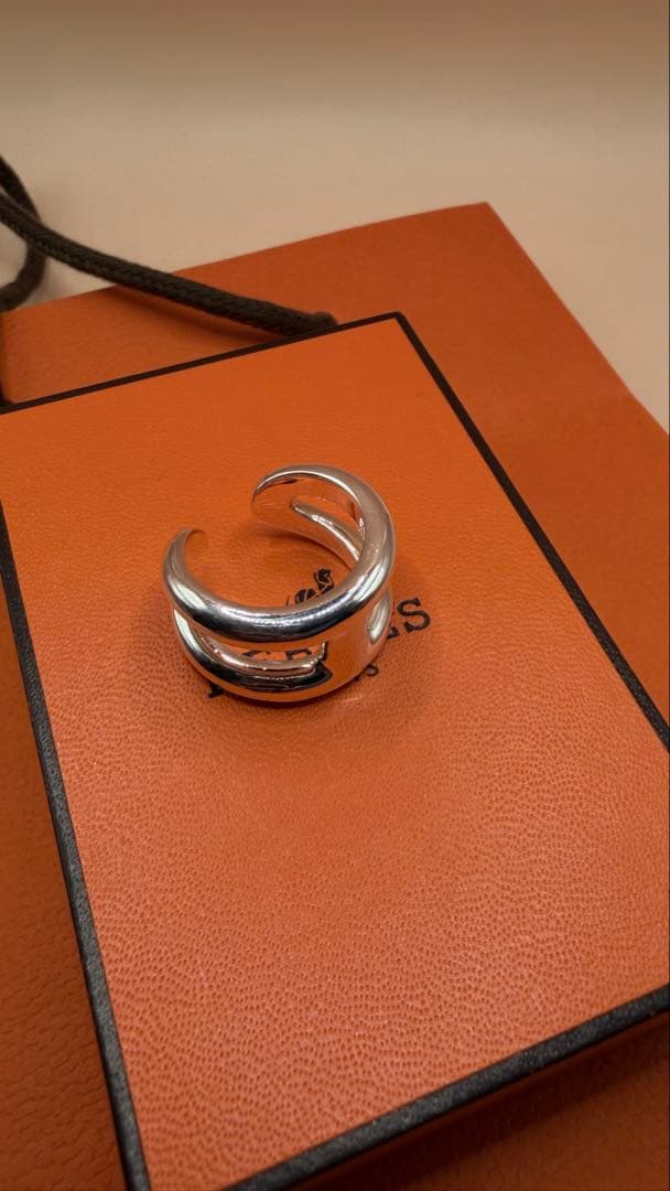 エルメスHERMESオスモズPM54 超美品 直営店購入