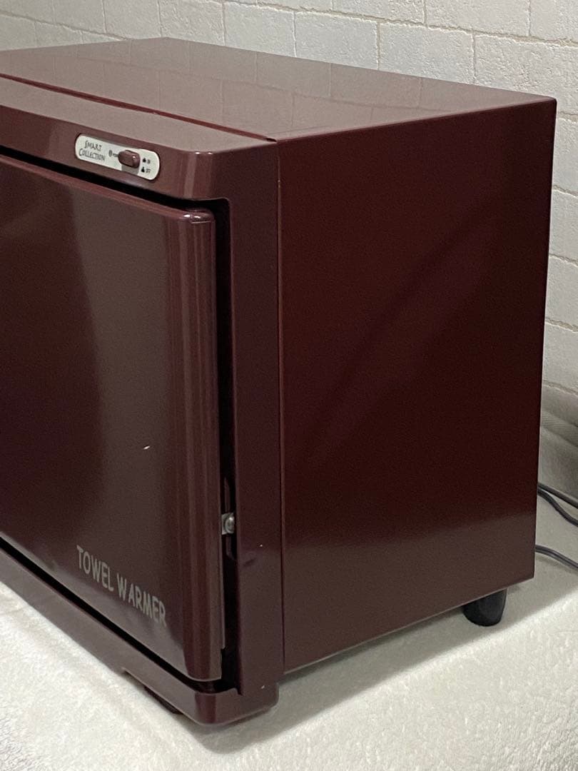 タオルウォーマー TW-18F ブラウン 前開き 大容量18L ダイシン商事