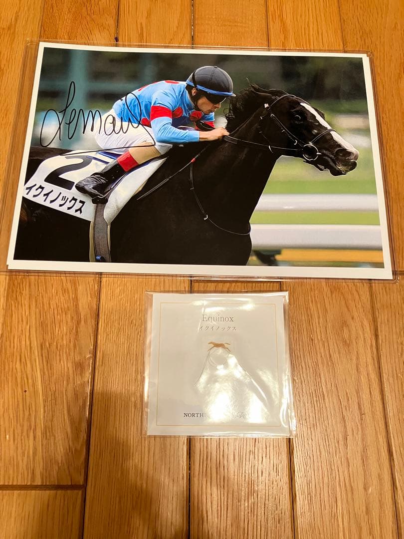 イクイノックス　2021 メイクデビュー　ルメール騎手直筆サイン　鬣　一本　台紙