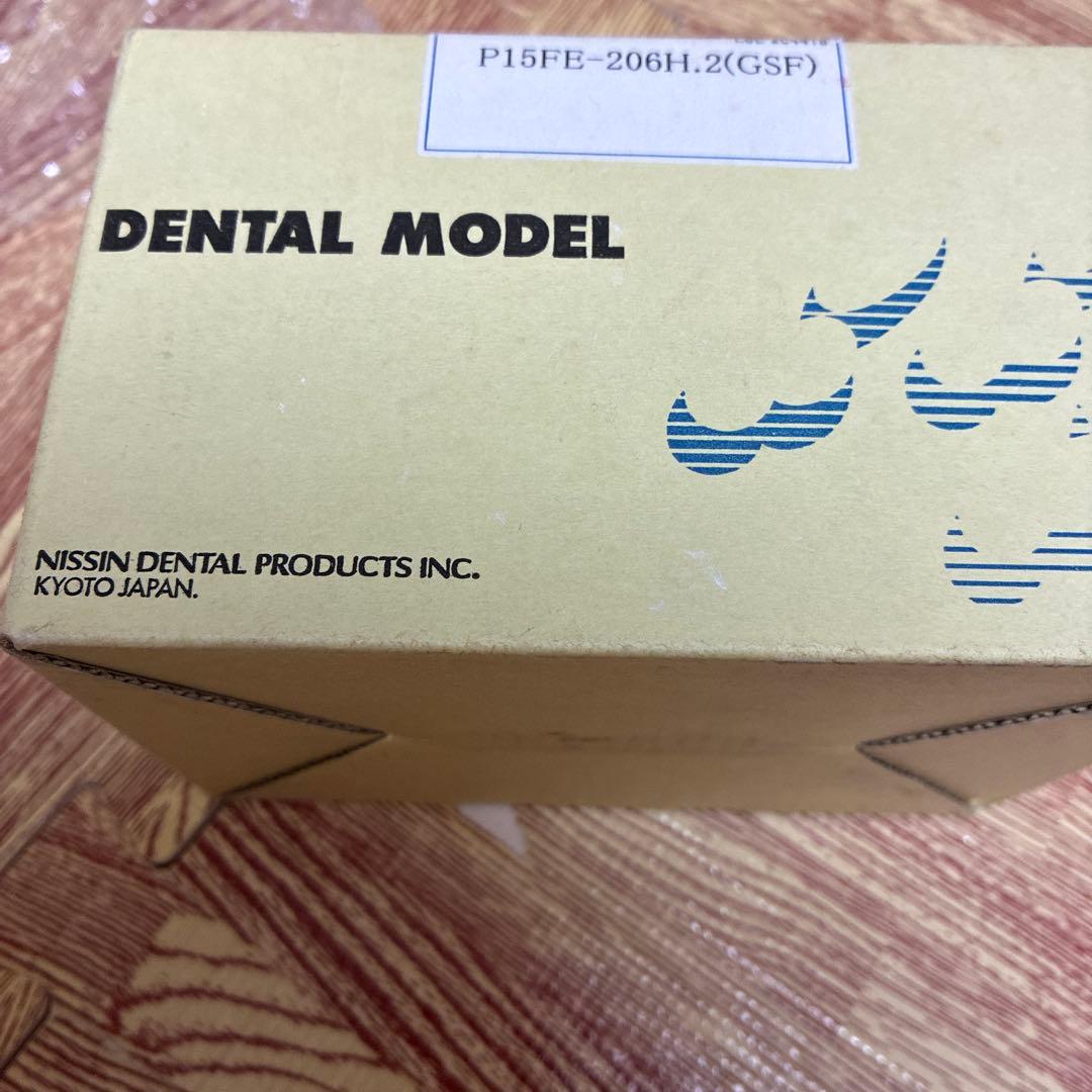 顎模型　ニッシン
