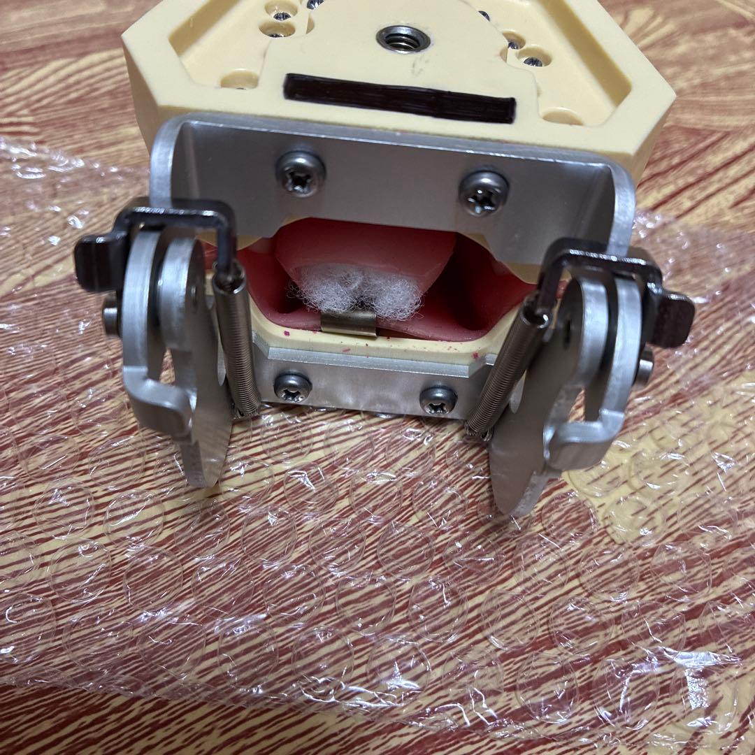 顎模型　ニッシン