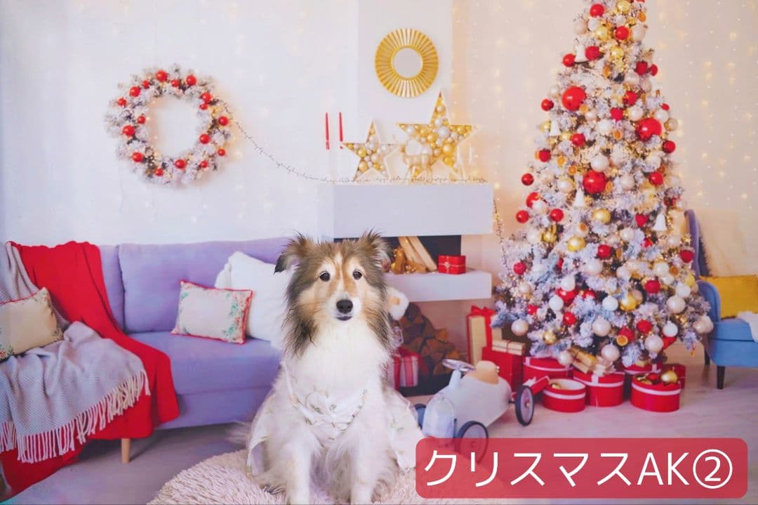 背景布【お正月I】サンプル　縦長　ペット撮影用ブース年賀状　梅の花　和柄　赤富士