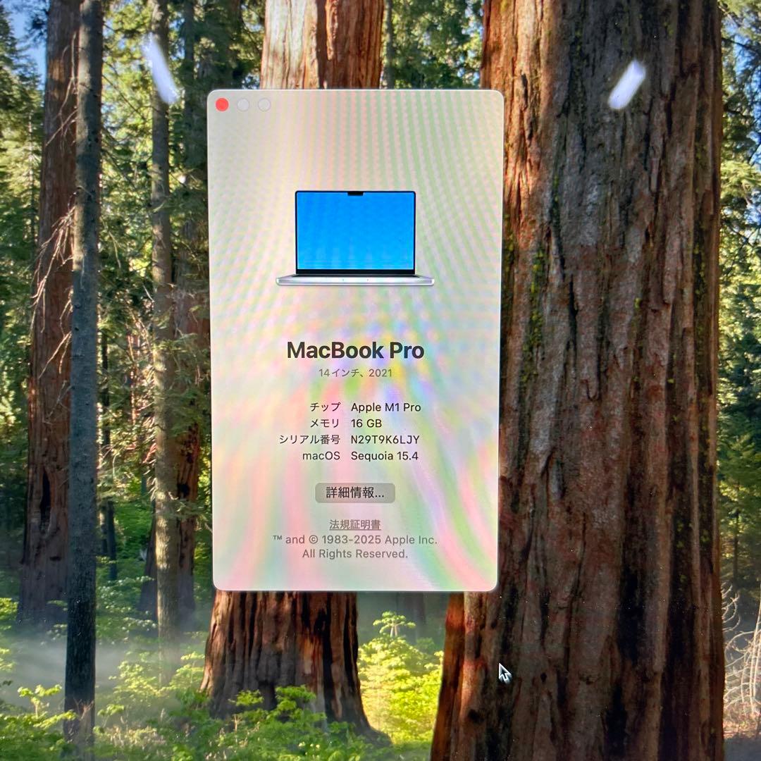 Apple MacBook Pro M1 2021 14インチ　16GB