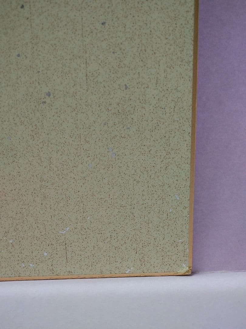 宮崎駿 直筆イラスト & サイン色紙 (となりのトトロ)