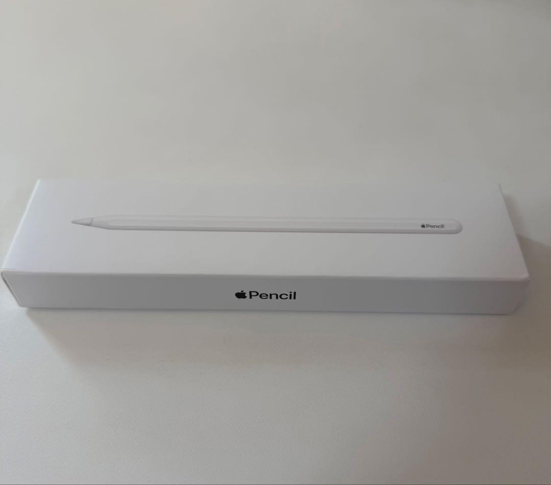 【訳あり】iPad Pro M1 11インチ256GBセルラー +Apple P