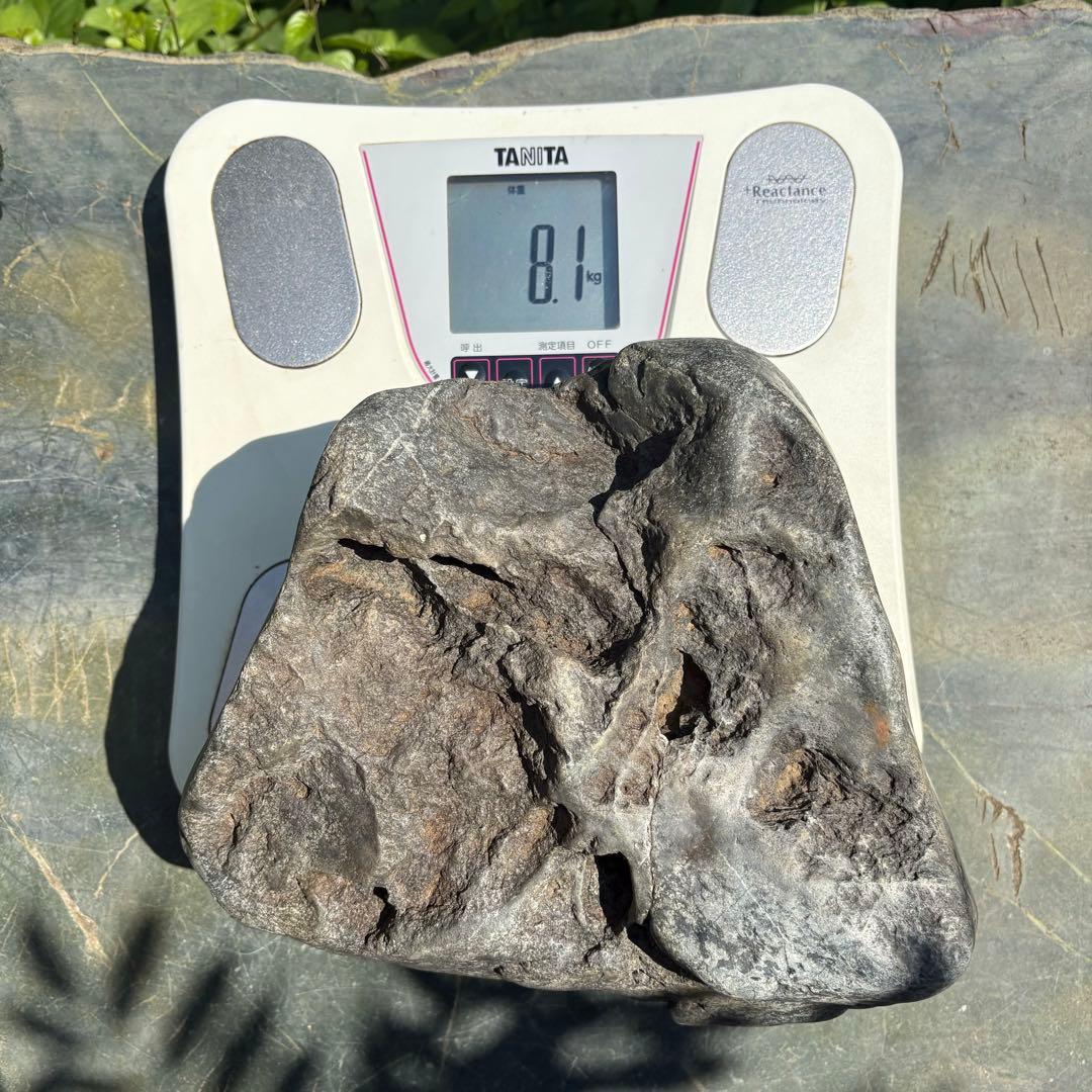 【お値下げ　希少 八海山石8.1kg】アクアリウム ウブ石 ジャグレ石 水無川