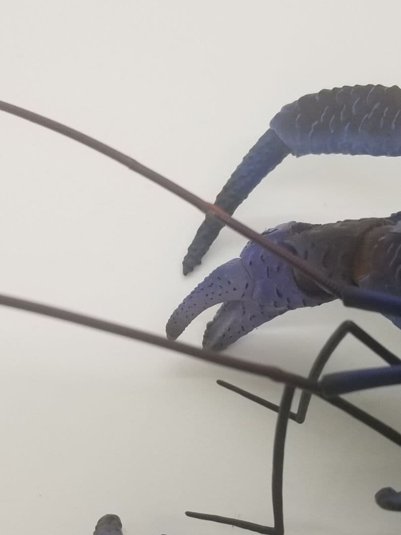 いきもの大図鑑プレミアム　ヤシガニ