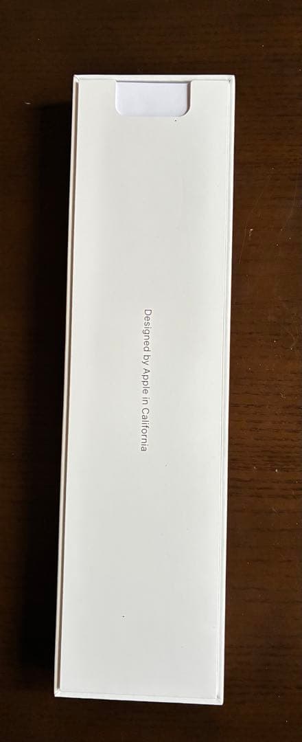 iPadアクセサリー Apple Pencil USB-C