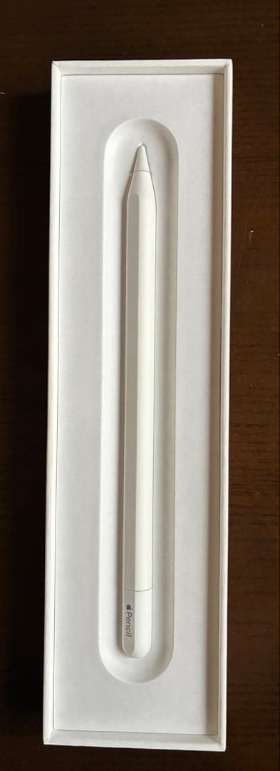 iPadアクセサリー Apple Pencil USB-C