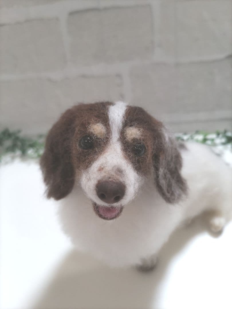 merry♡うちの子オーダー♡羊毛フェルト♪ハンドメイド☆