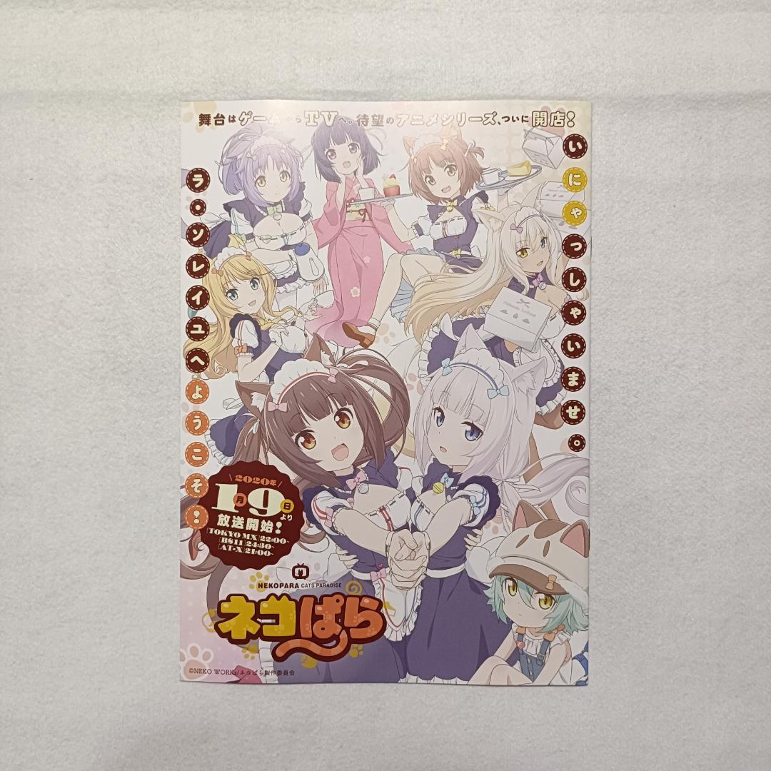 コミケ 6冊セット ネコぱら NEKO WORKs 通信 限定 広報 冊子