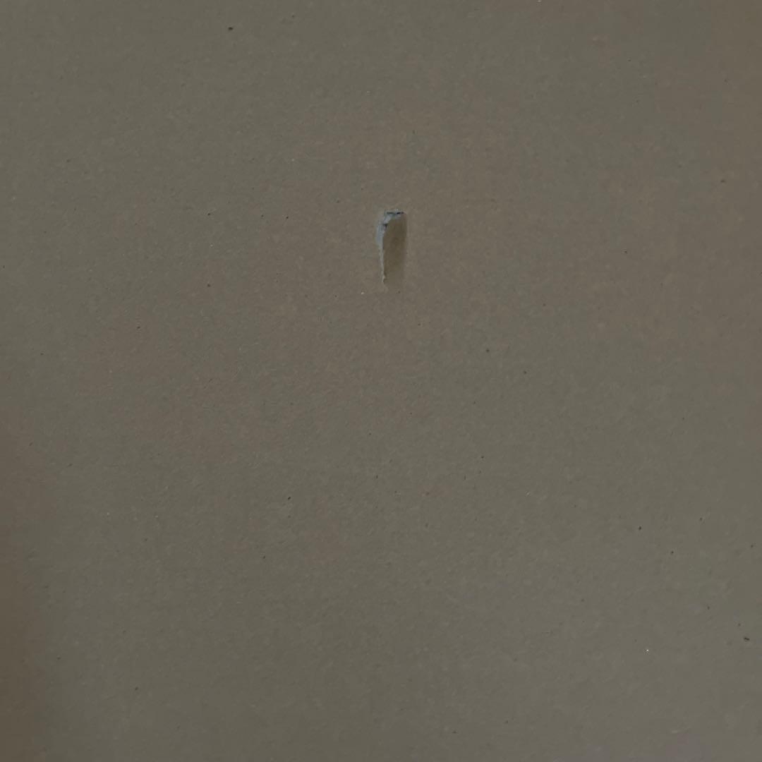 アリエル　シルエット　デビッドウィラードソン　【レア番号】