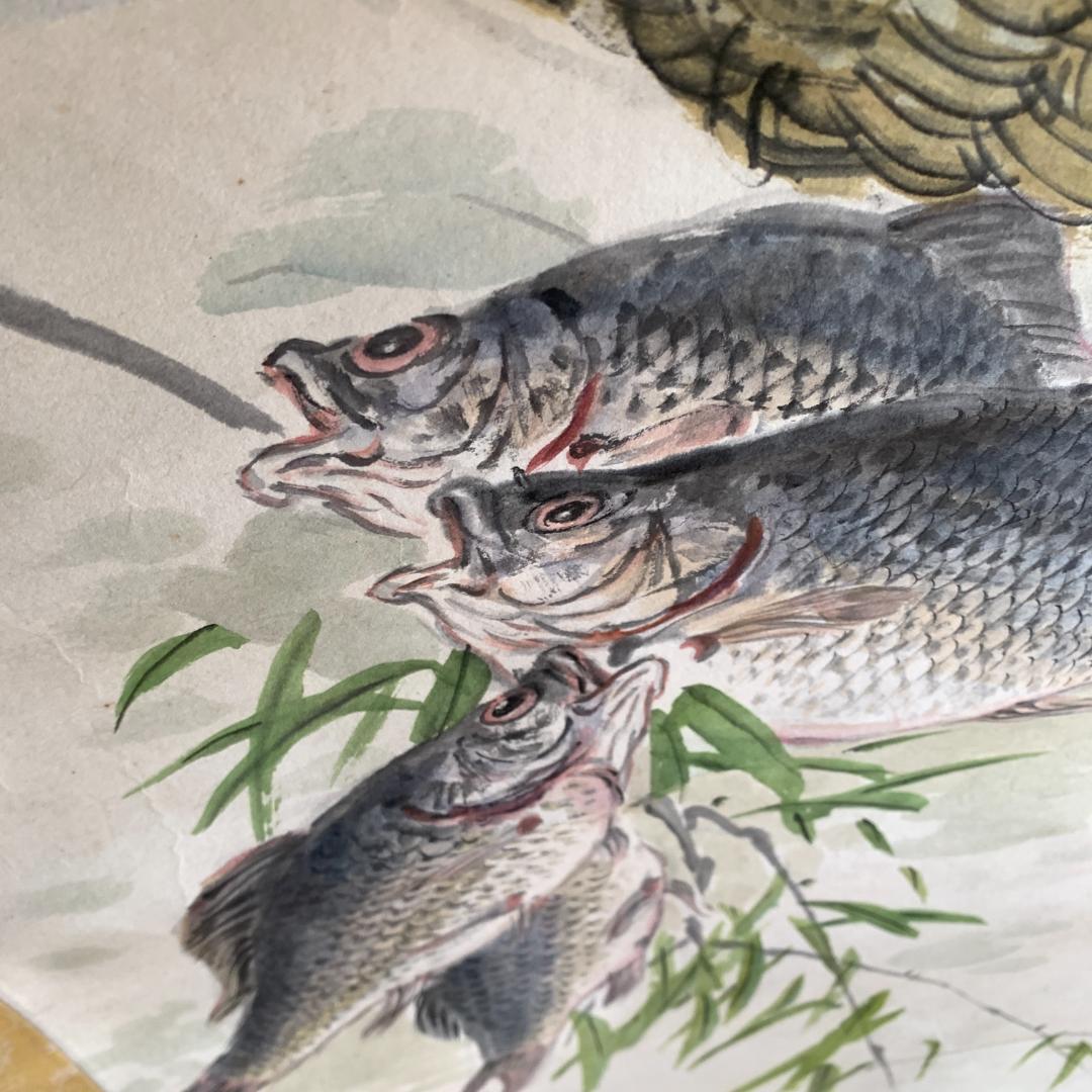 魚獲記 日本画 掛け軸