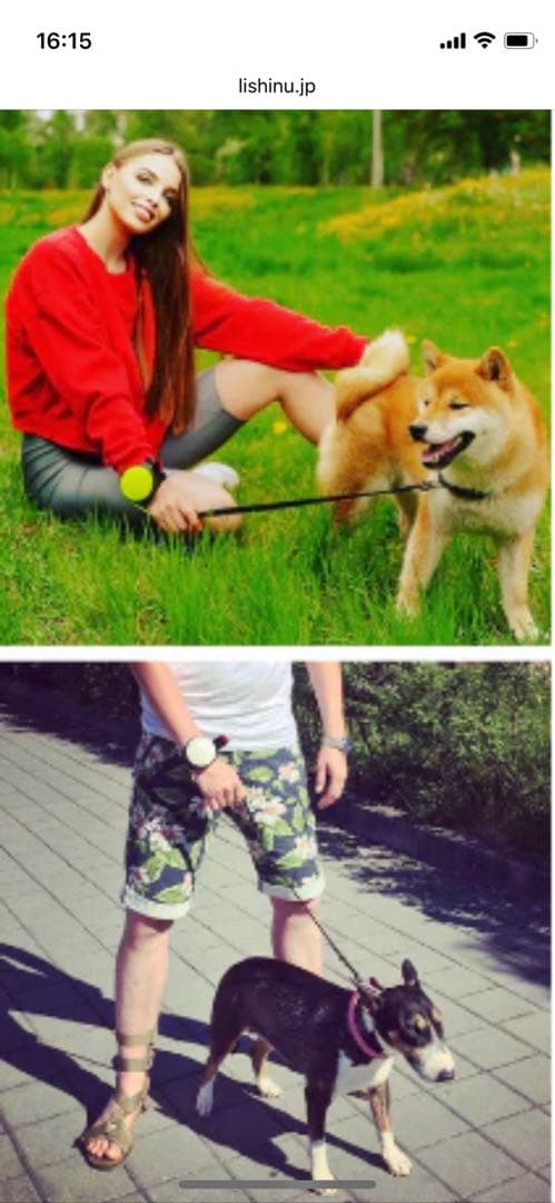 リシニュー　ハンズフリーリード　3m 新品