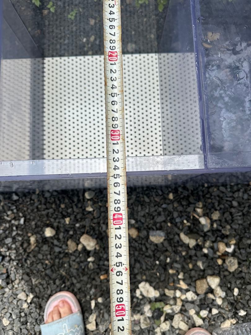 濾過水槽　サンプ