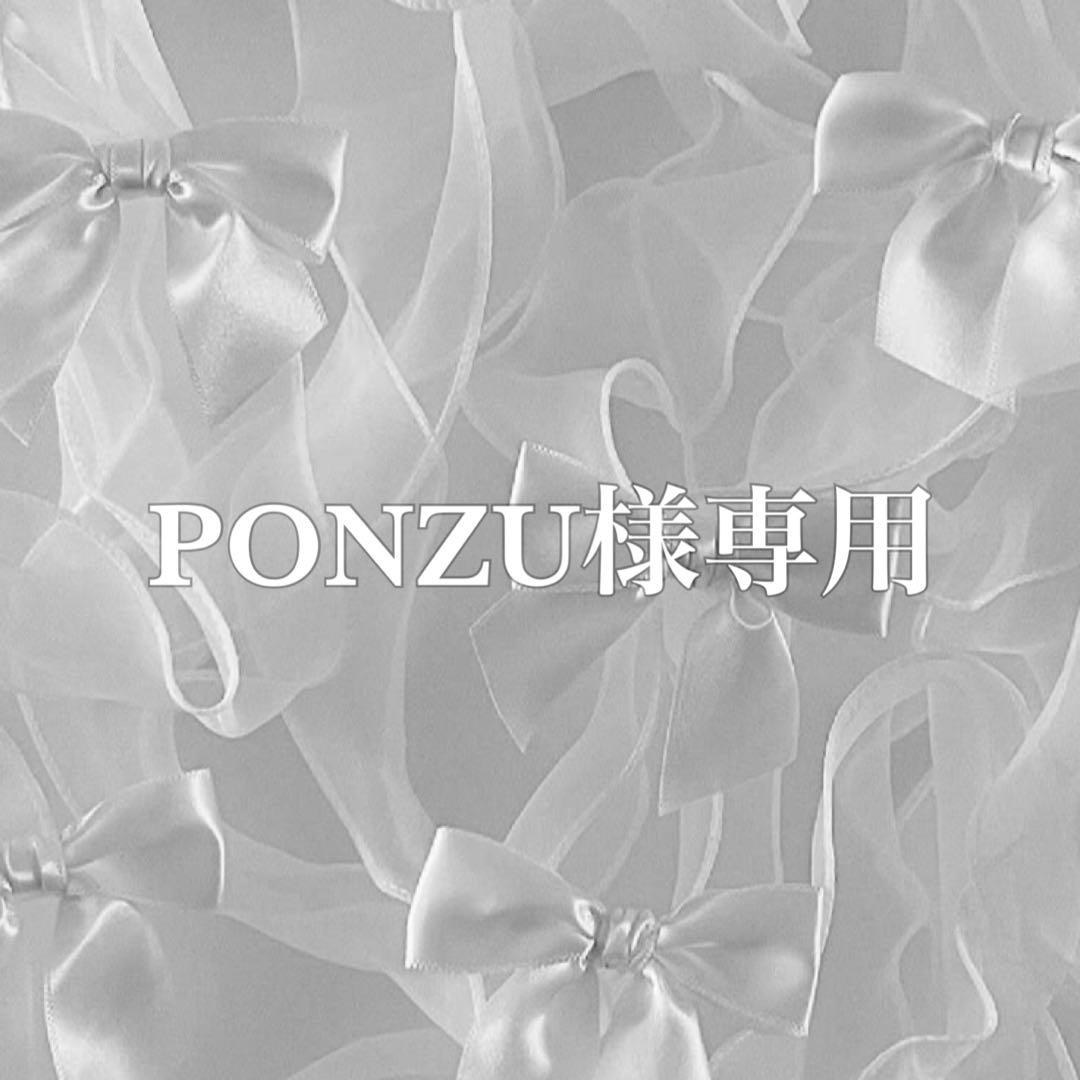 PONZU　No.M1 No.25 アイコスピック