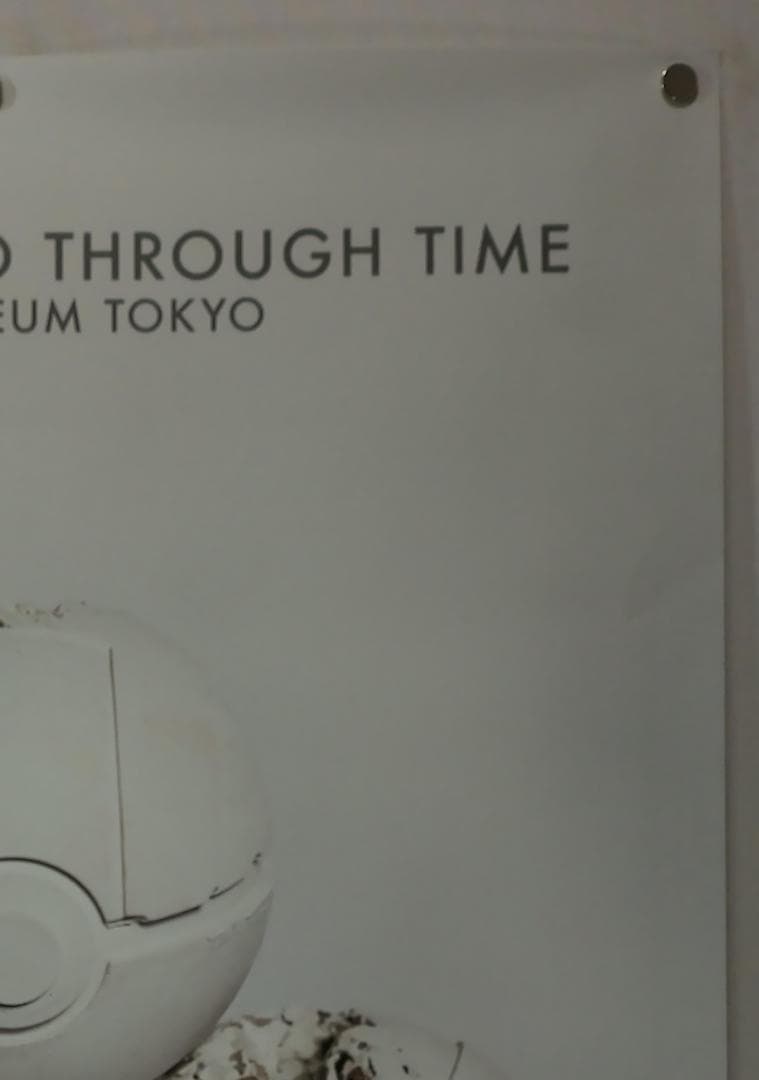 ポケモン　ダニエルアーシャム　B2 ポスター