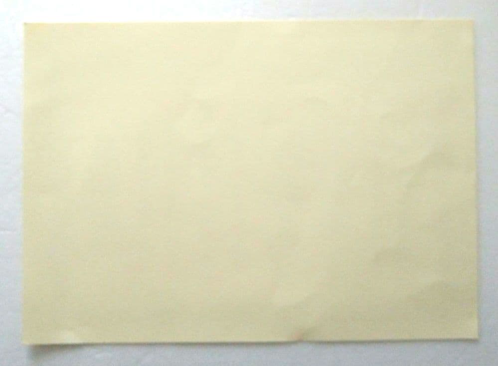 菅田将暉 サイン 二十歳 誕生日 ファン イベント グッズ