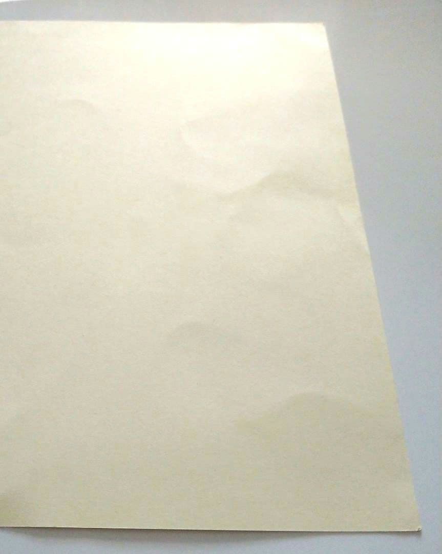 菅田将暉 サイン 二十歳 誕生日 ファン イベント グッズ