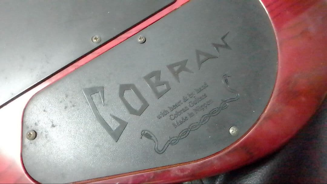 本日終了！Cobran F-G4