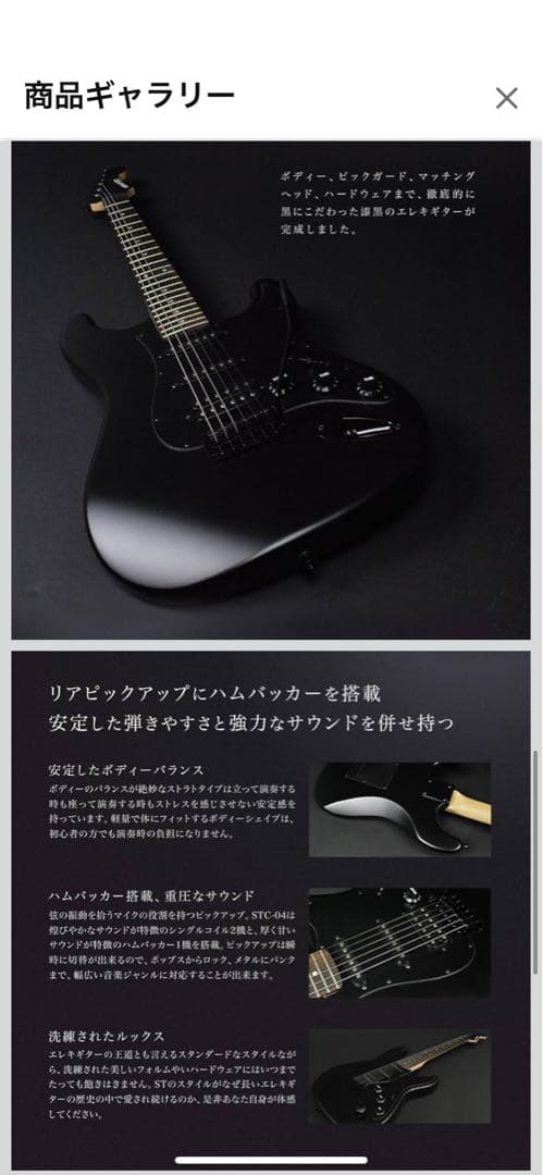 【ほぼ未使用品】SELDER セルダー エレキギター 初心者入門セット