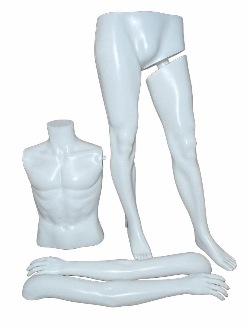 マネキン ボディトルソー ヘッドカットマネキン 軽量PE製 着せ替え楽々男性