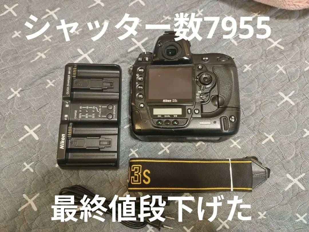 Nikon D3s 7955ショット