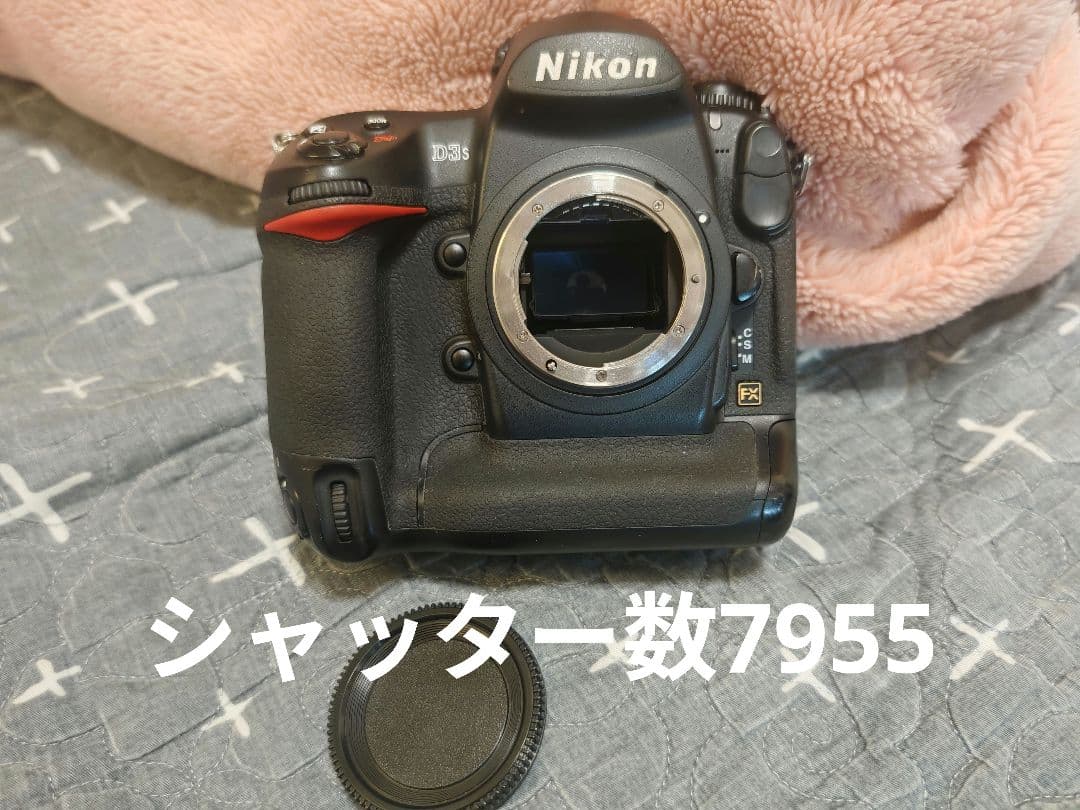 Nikon D3s 7955ショット