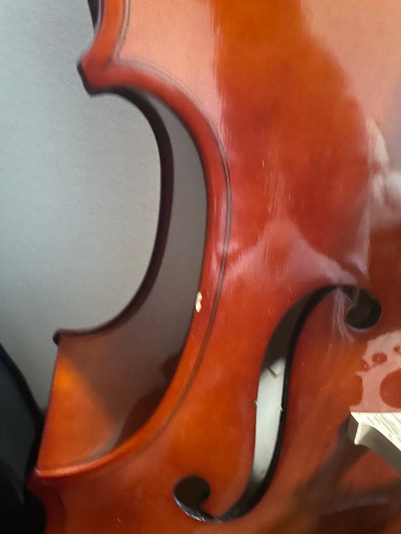 【期間限定】チェロ Carlo Giordano カルロジョルダーノ　4/4