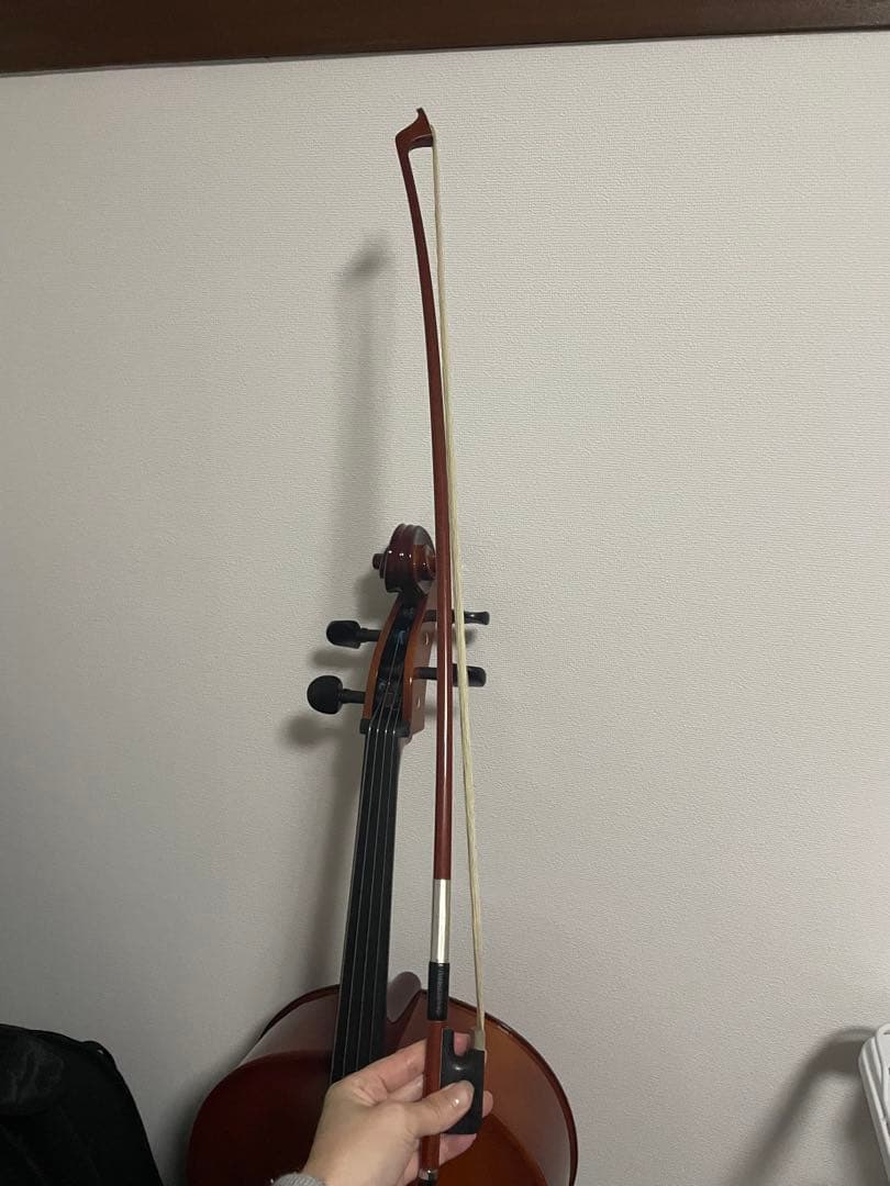 【期間限定】チェロ Carlo Giordano カルロジョルダーノ　4/4