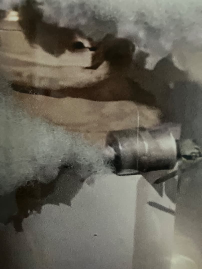 バンクシー 「FLUFF OBTAINED AT CutAndRun」 COA付