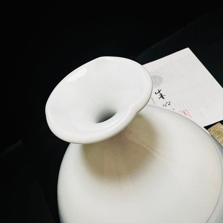 日展作家　伝統工芸作家　藤井朱明作　花瓶　花入　壺　略歴付 専用