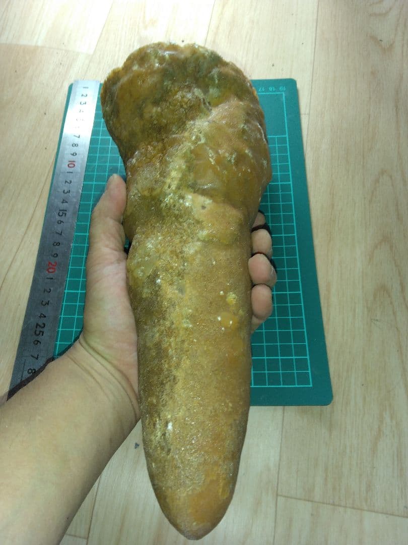 鍾乳石　天然石　大型標本