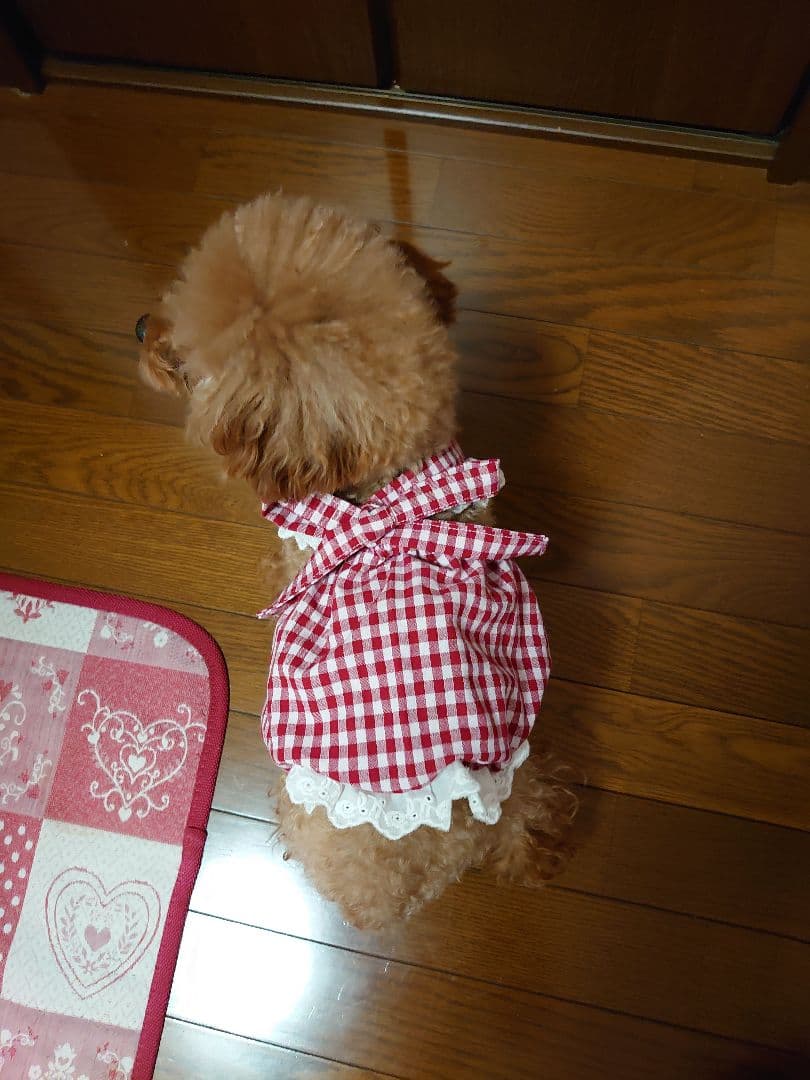 犬服 ハンドメイド ワンピース ギンガムブルー