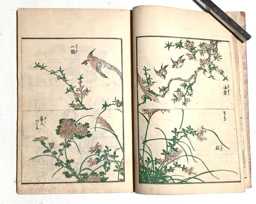 傳神開手北斎画宛三編全（色摺版画本)い葛飾北斎画 江戸版（嘉永2年以降)