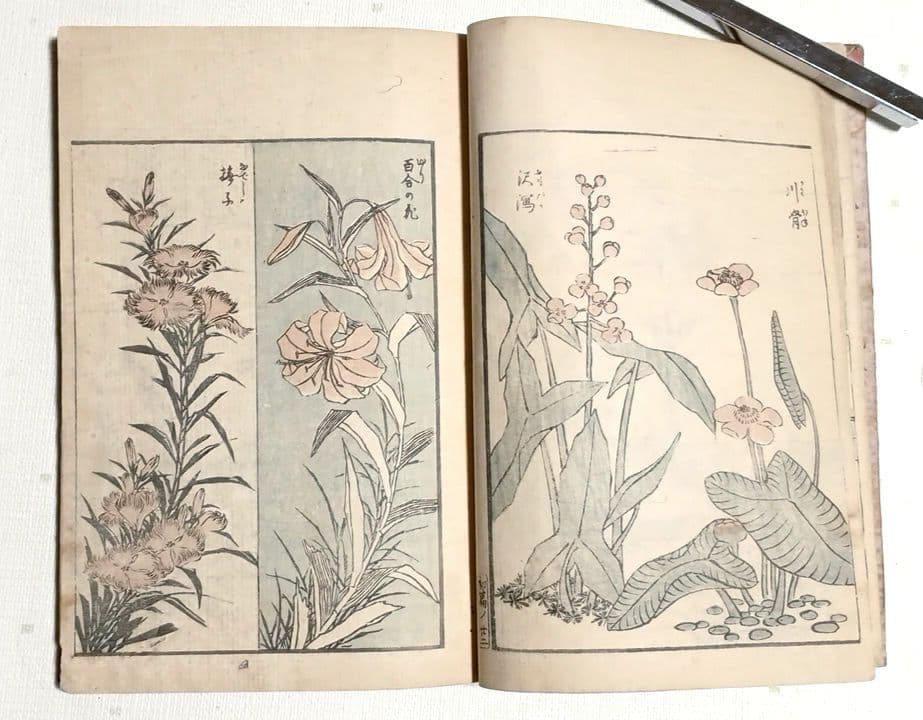 傳神開手北斎画宛三編全（色摺版画本)い葛飾北斎画 江戸版（嘉永2年以降)
