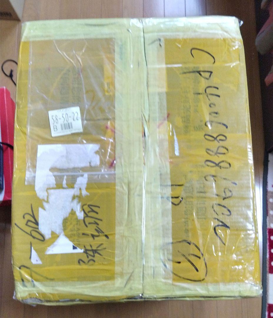 ワンピース　ポートガスエース