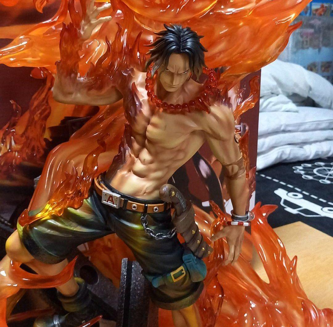 ワンピース　ポートガスエース