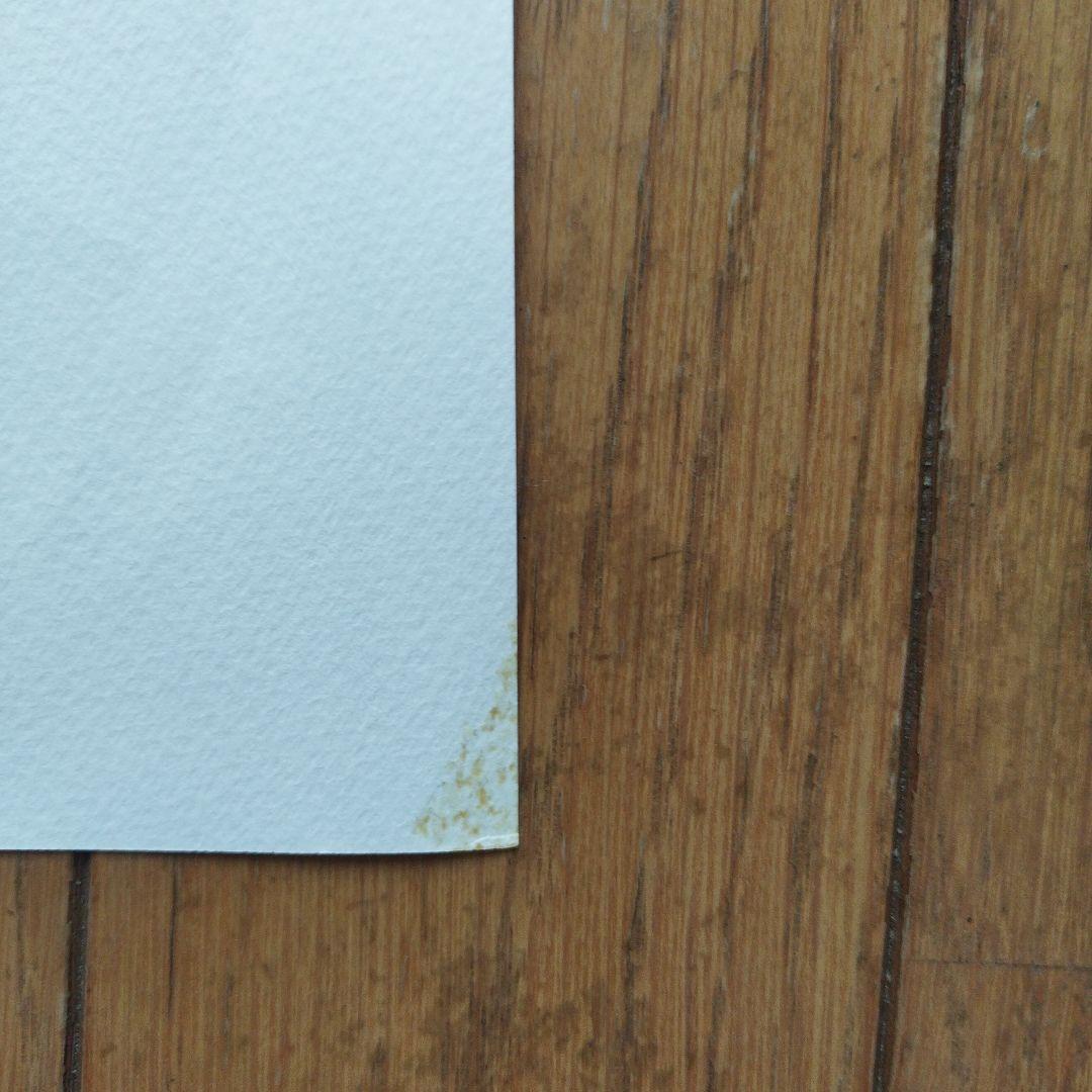 ロザリープルッシング