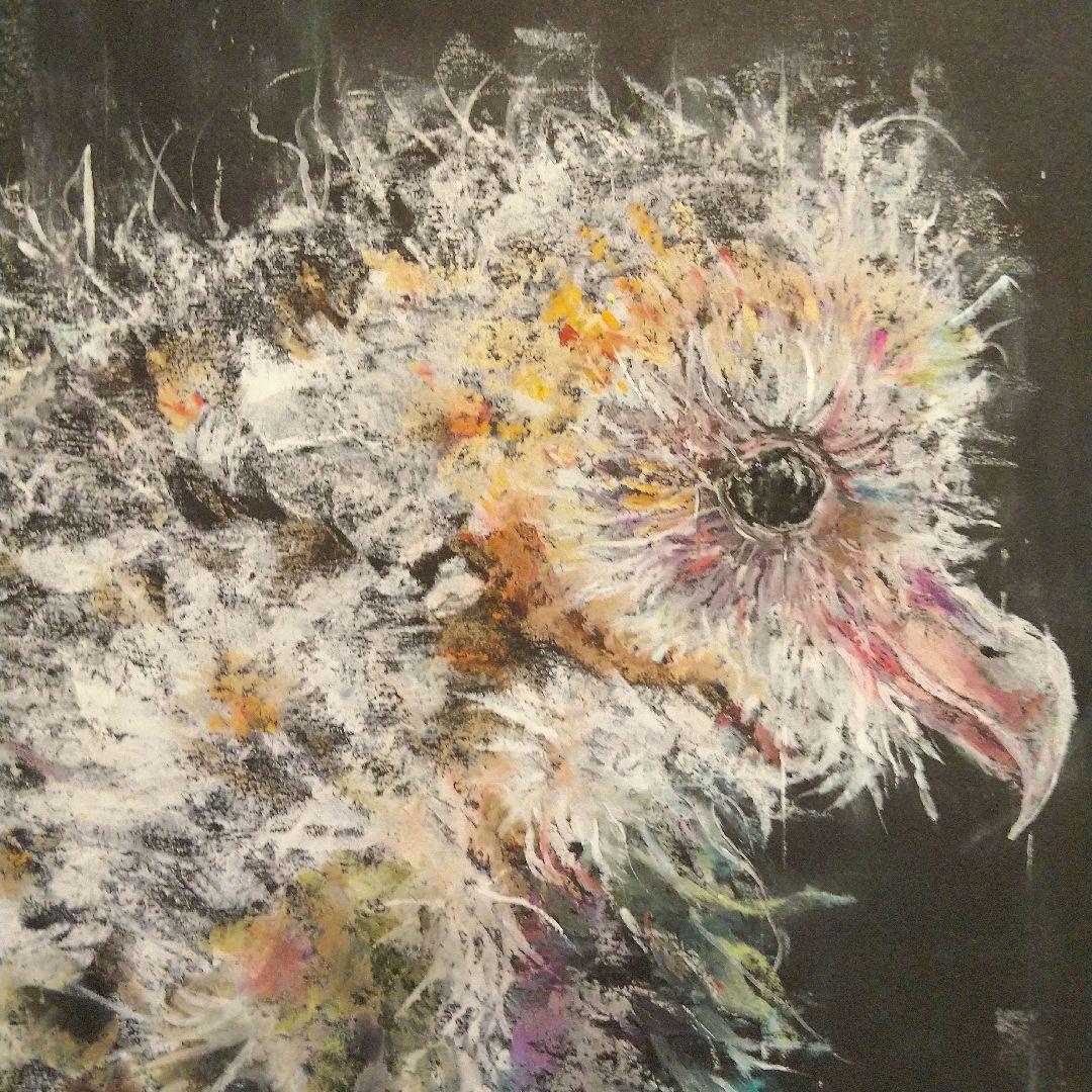 原画 アート 絵画 画家 フクロウ 梟 鳥 雛鳥 小鳥 縁起物 動物 白い鳥 雨