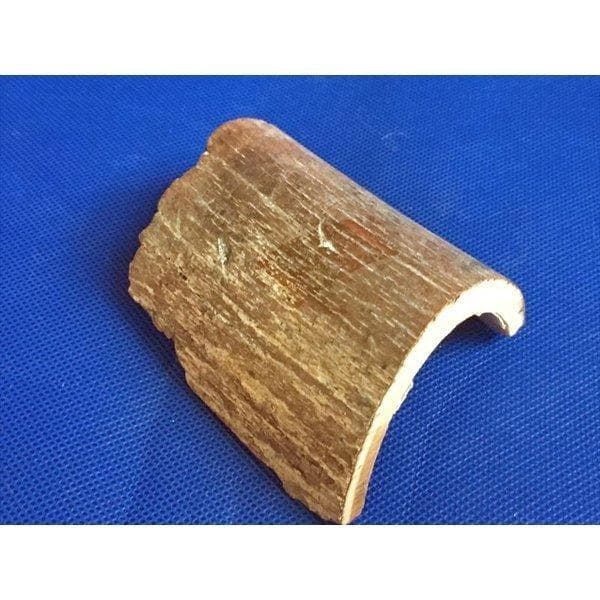 ☆【実物】 マンモスの牙 シベリア産