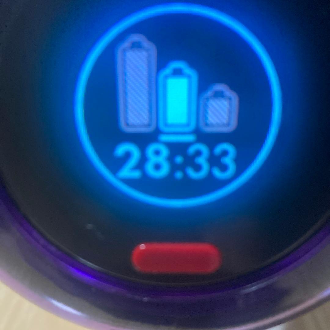 朝夕さん専用ダイソン　ＳＶ１８簡易分解清掃、メンテナンス済み（本体のみ）