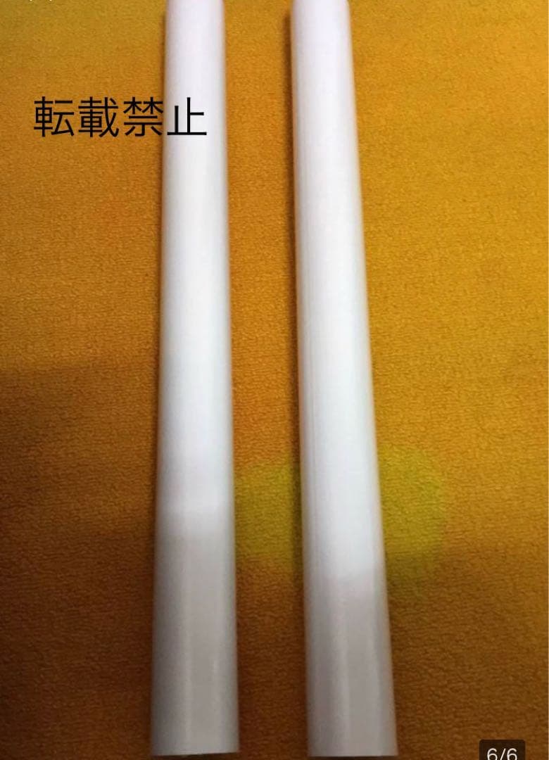 武田玲奈　等身大ポスター　２種類セット