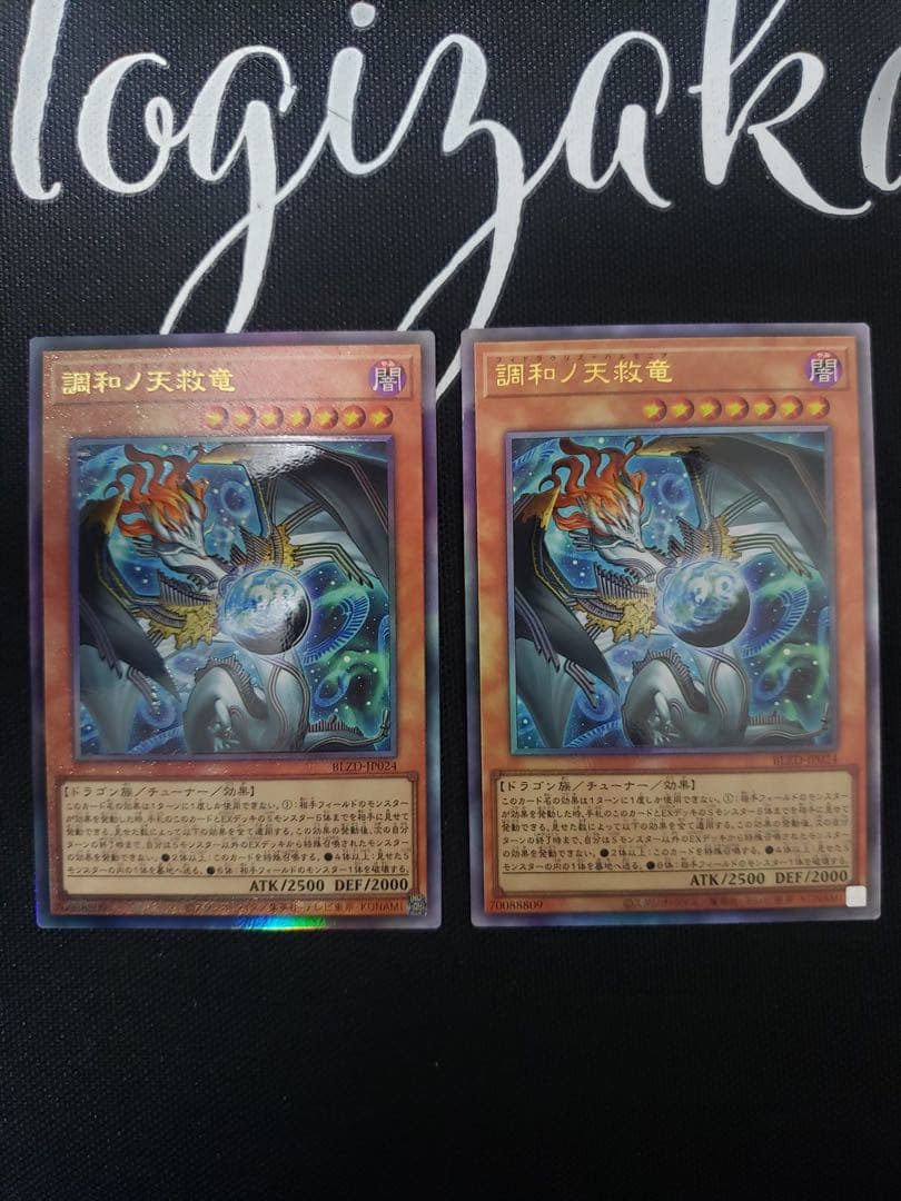 調和ノ天救竜　レリーフ2枚セット