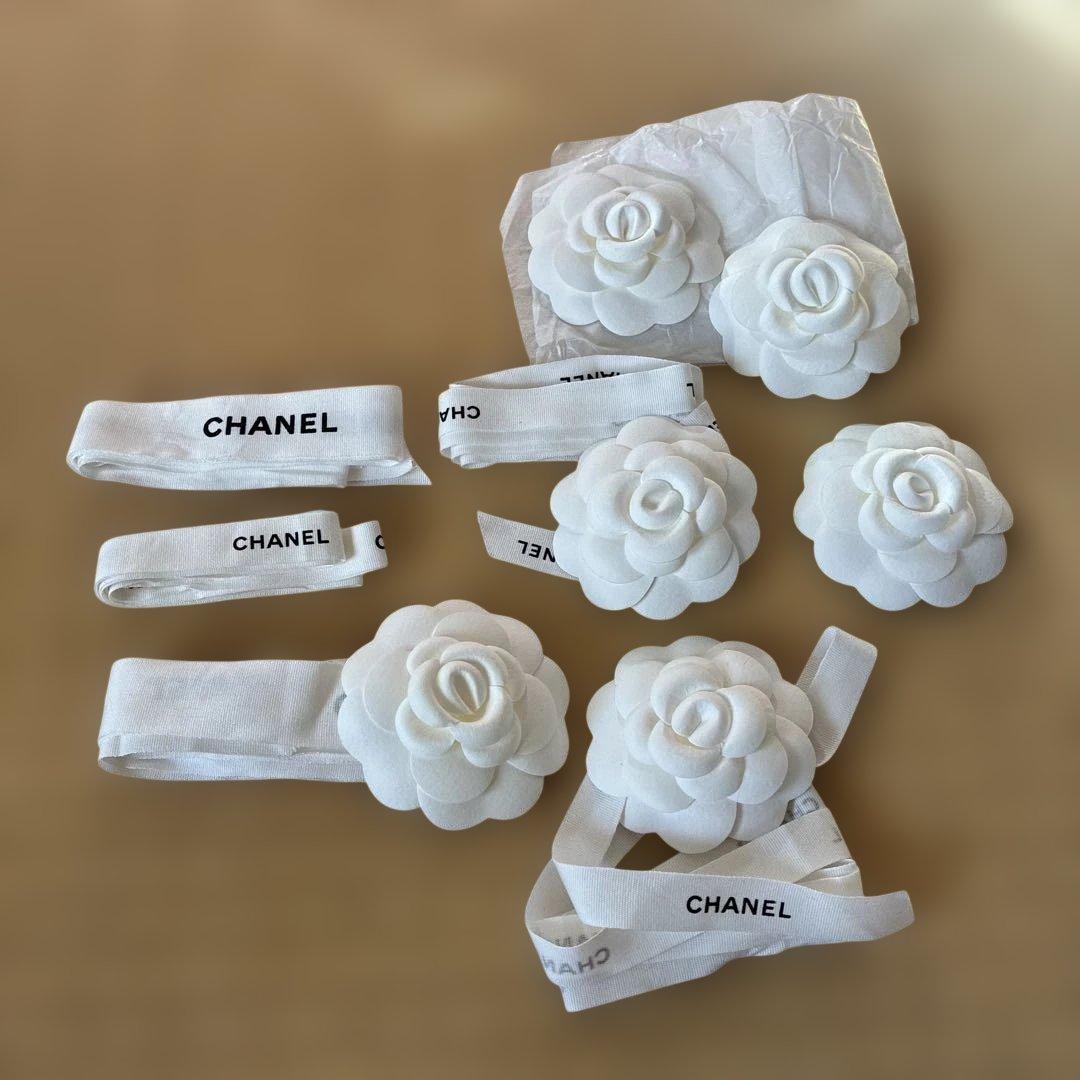 シャネル　ショッパー　空箱　マグネット　バレッタ　保存袋　付属品　セット