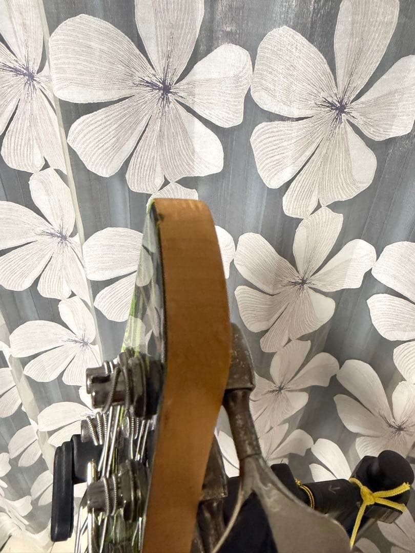 ディングウォール dingwall NGシリーズ5弦 1月5日までの最終お値下げ