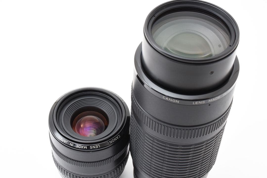 一眼レフカメラCanon EOS 5D mark III標準&望遠レンズセット