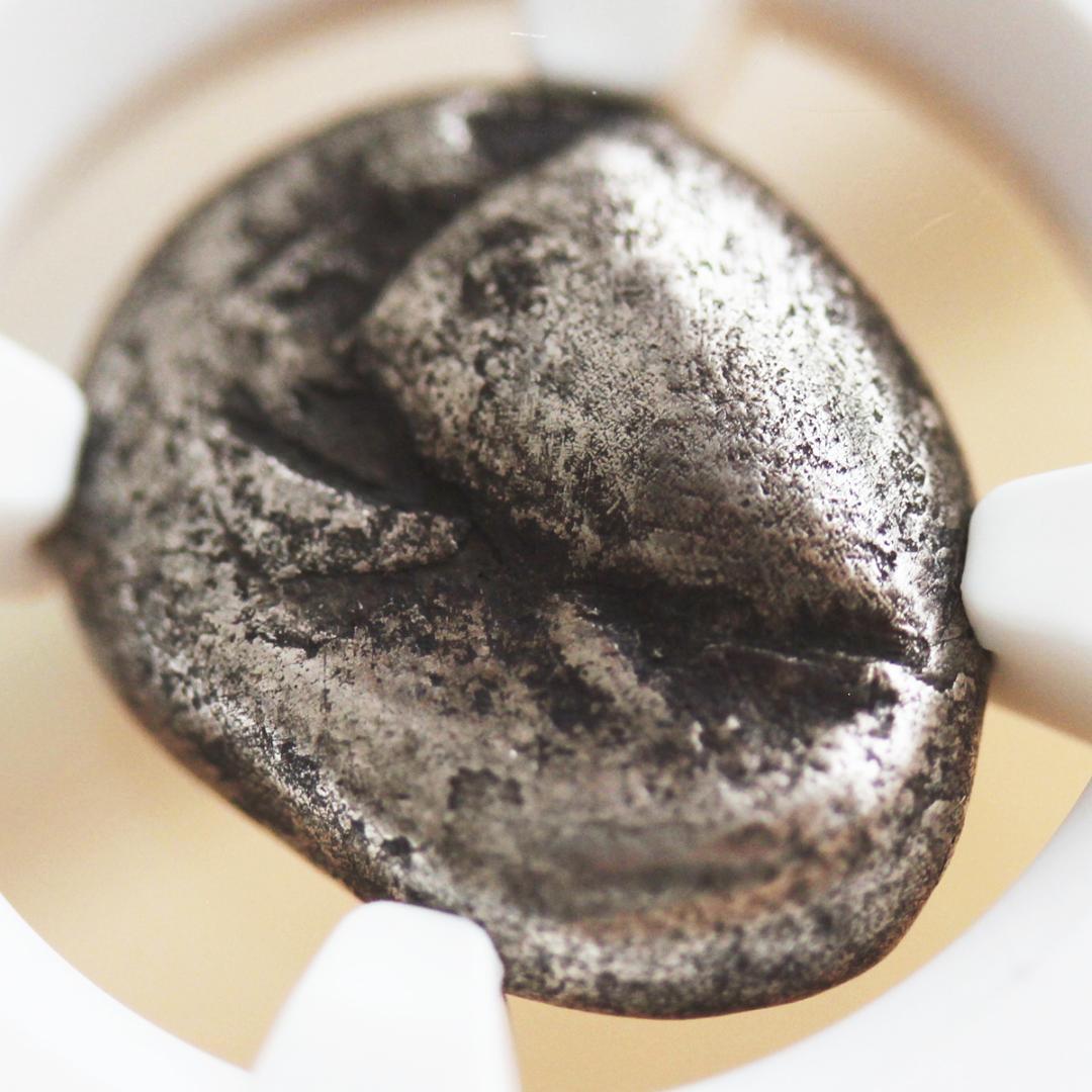 古代ギリシャ最古　アイギナ　ウミガメ【VG NGC】海亀　スタテル銀貨　エーゲ海