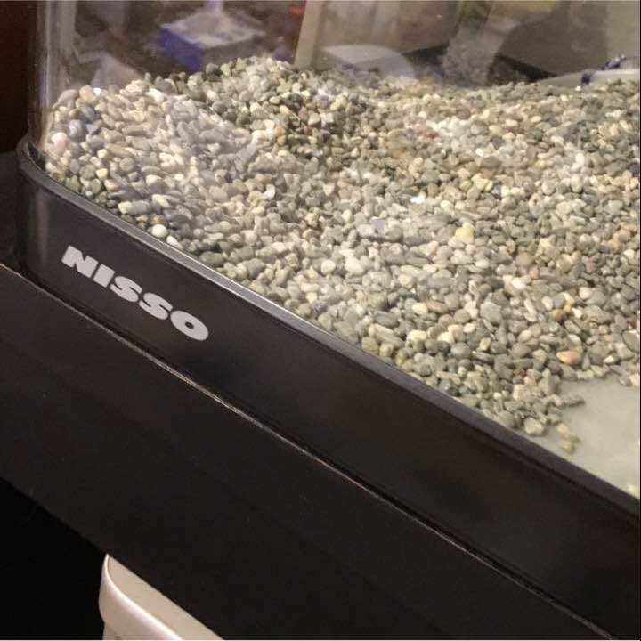 NISSO 90×60×45 曲げガラス 水槽 ୨୧⑅*