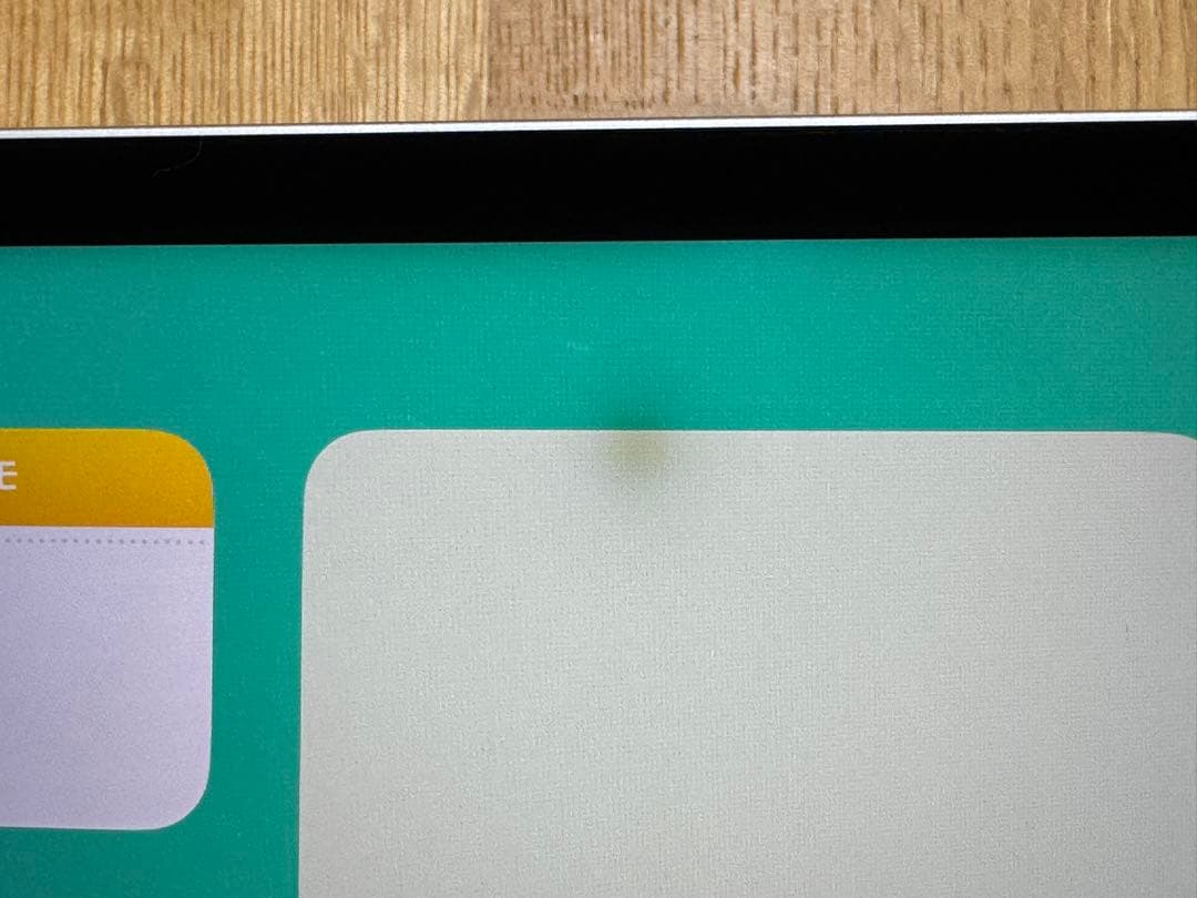 iPad pro 12.9インチ 1TB 第5世代 セルラー SIMフリー 中古